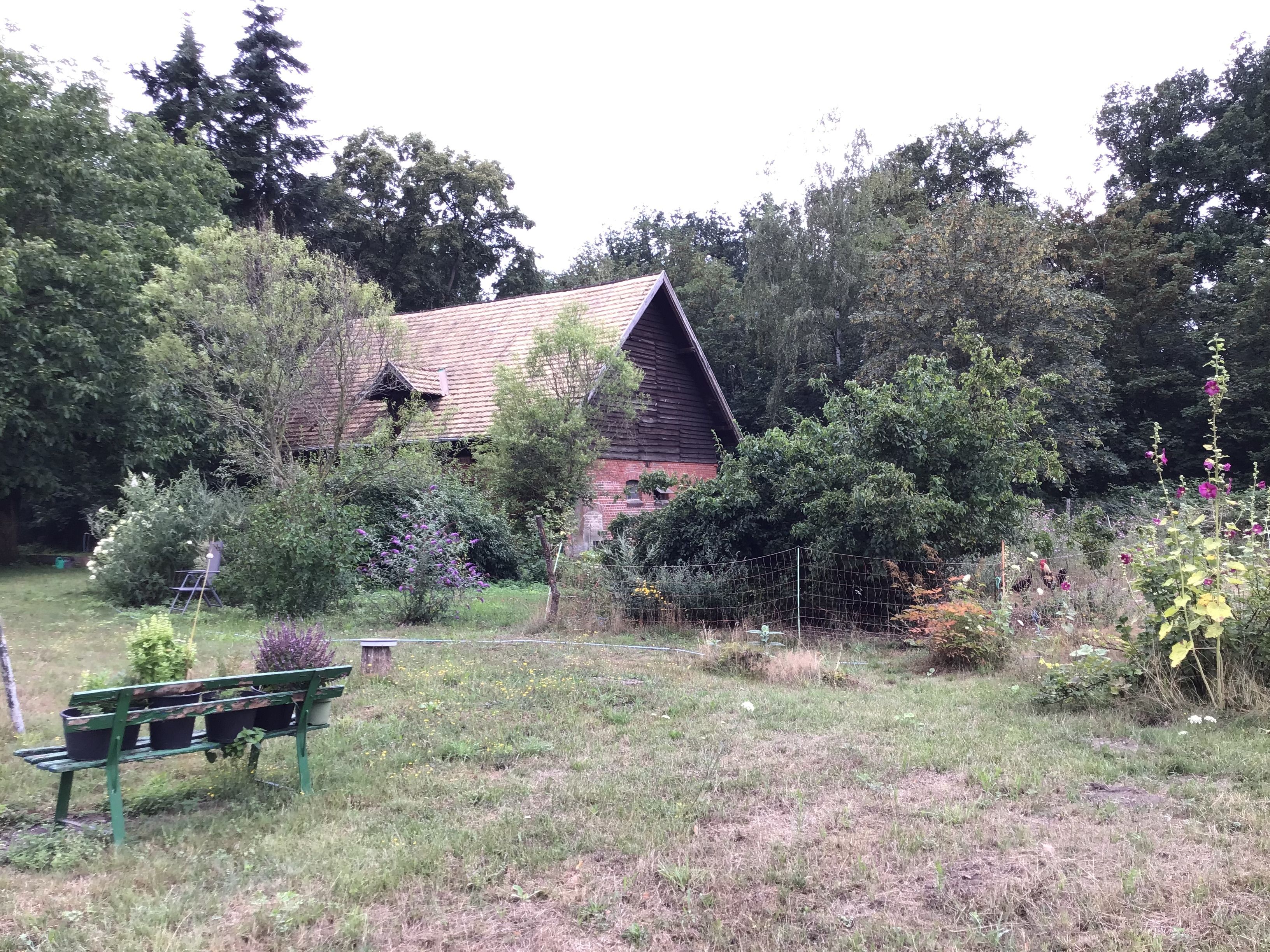 Mitten im Wald  am Forsthaus in der Dbener Heide