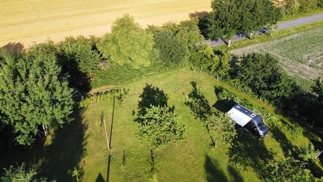 hngematte malen Malen nach Zahlen  Panda in Hngematte  Figured'Art