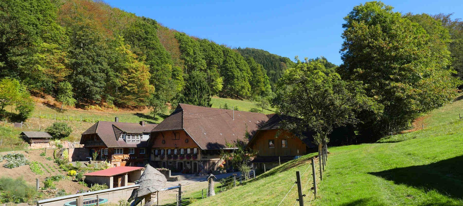 Urlaub im Schwarzwald Ferienbauernhof fr Camper