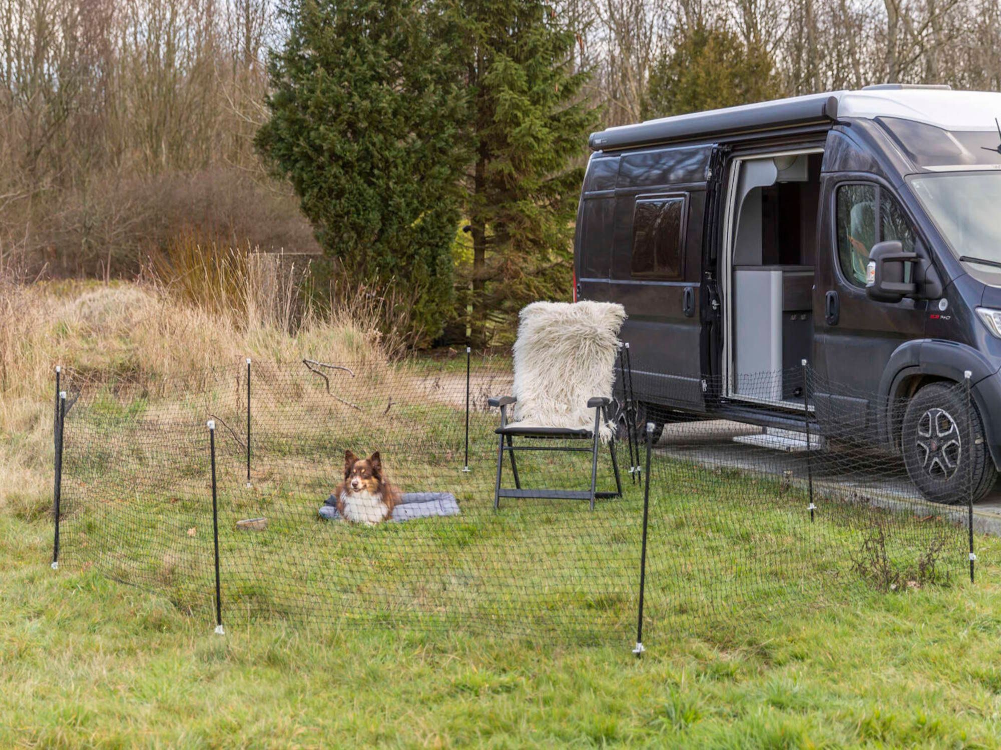 Hund liegt innerhalb eines mobilen Hundezauns vor einem Van auf einem Stellplatz mitten in der Natur