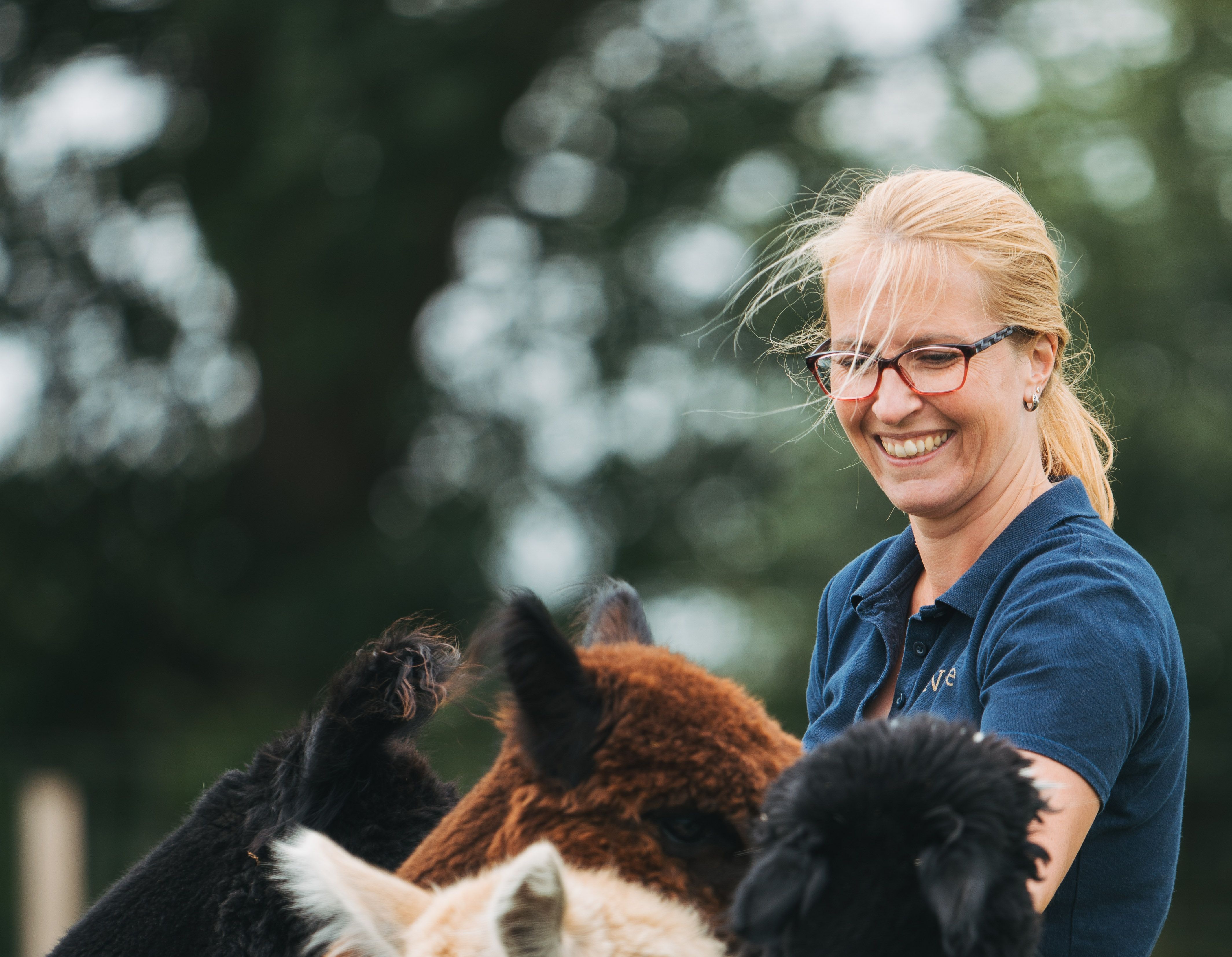 Gastgeberin von Hinterland.camp streichelt ihre Alpakas auf ihrem Stellplatz Geheimtipp
