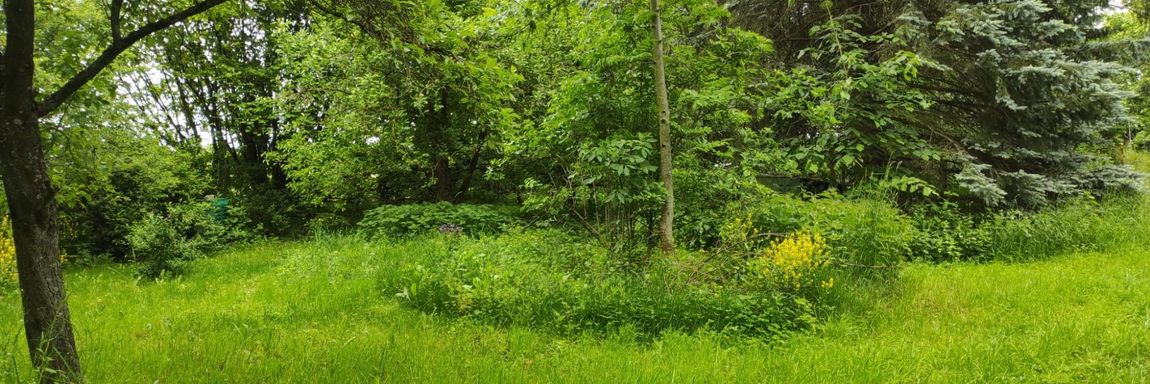 Ein erholsamer Wiesengarten für naturverbundene