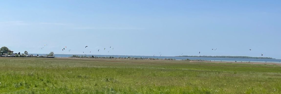 Auf der Obstwiese am Salzhaff mit Blick zur Ostsee
