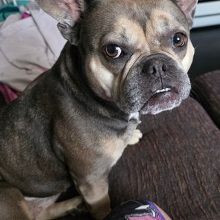 Profile picture