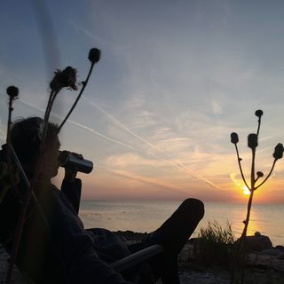 Profile picture
