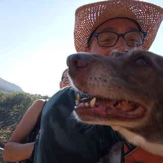 Profile picture