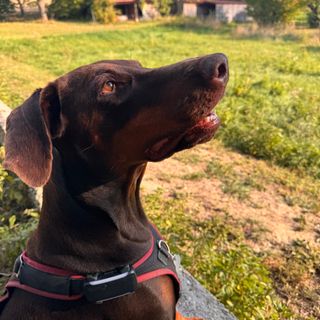Profile picture