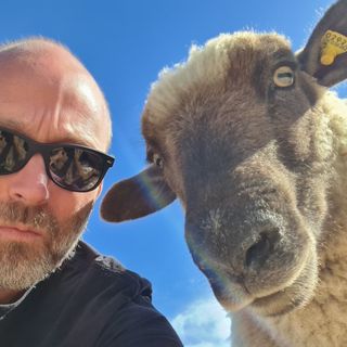 Profile picture