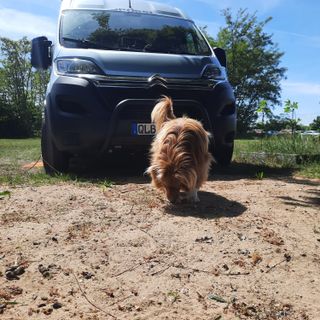 Profile picture