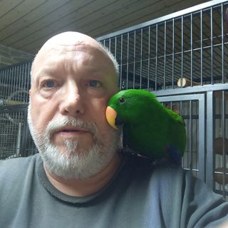 Profile picture