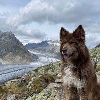 Profile picture