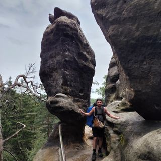 Profile picture