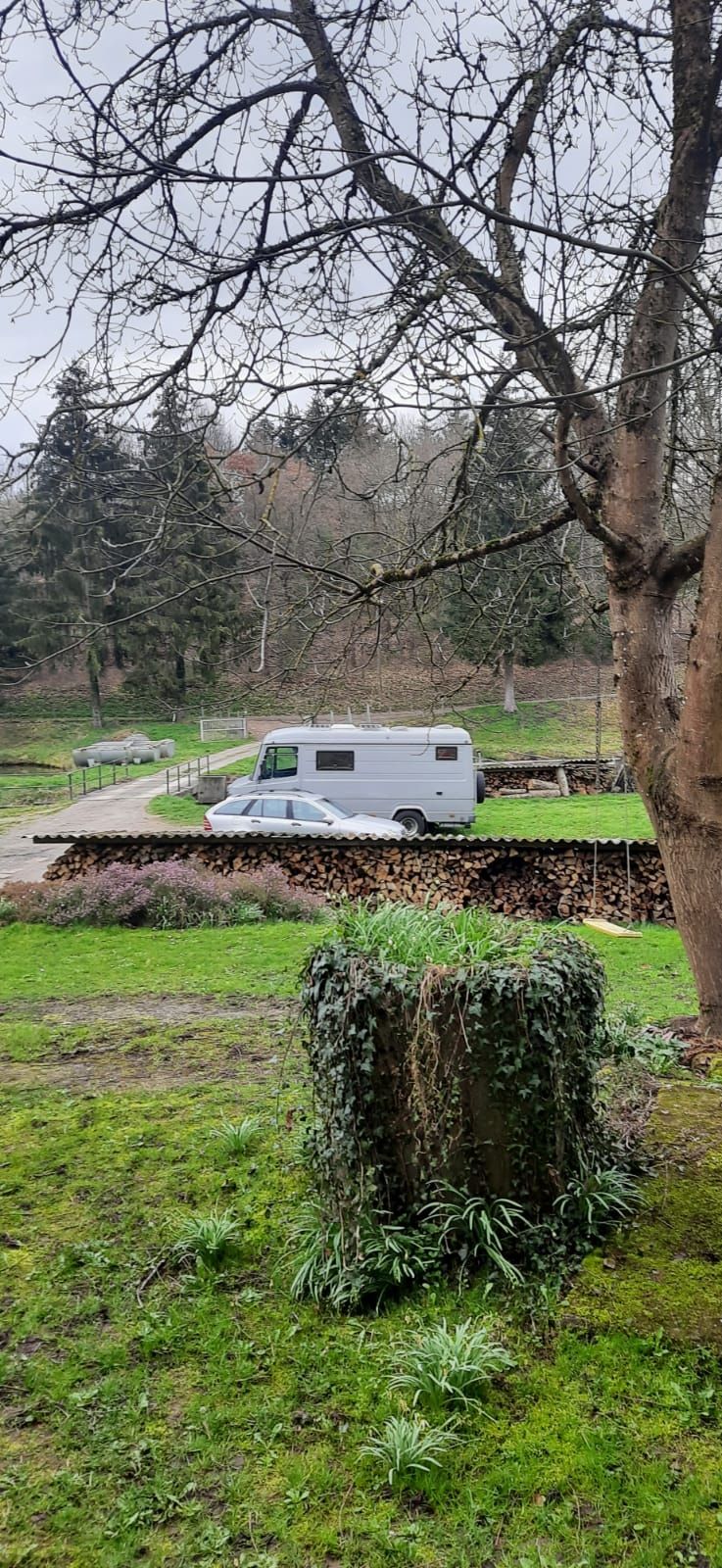 Près du ruisseau dans le village idyllique de Marienthal