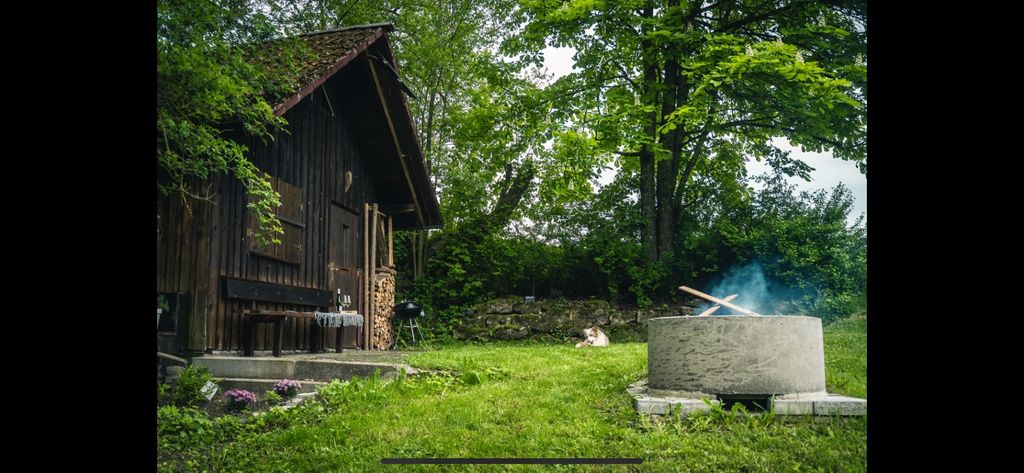 Luogo romantico ai margini del bosco con laghetto