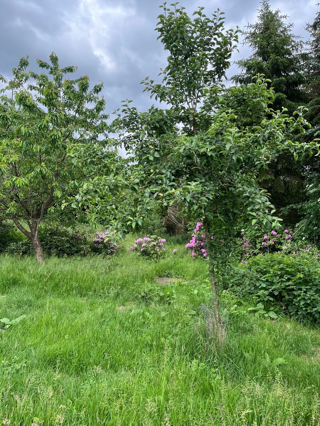 "The little Link Farm" on the Lüneburg Heath