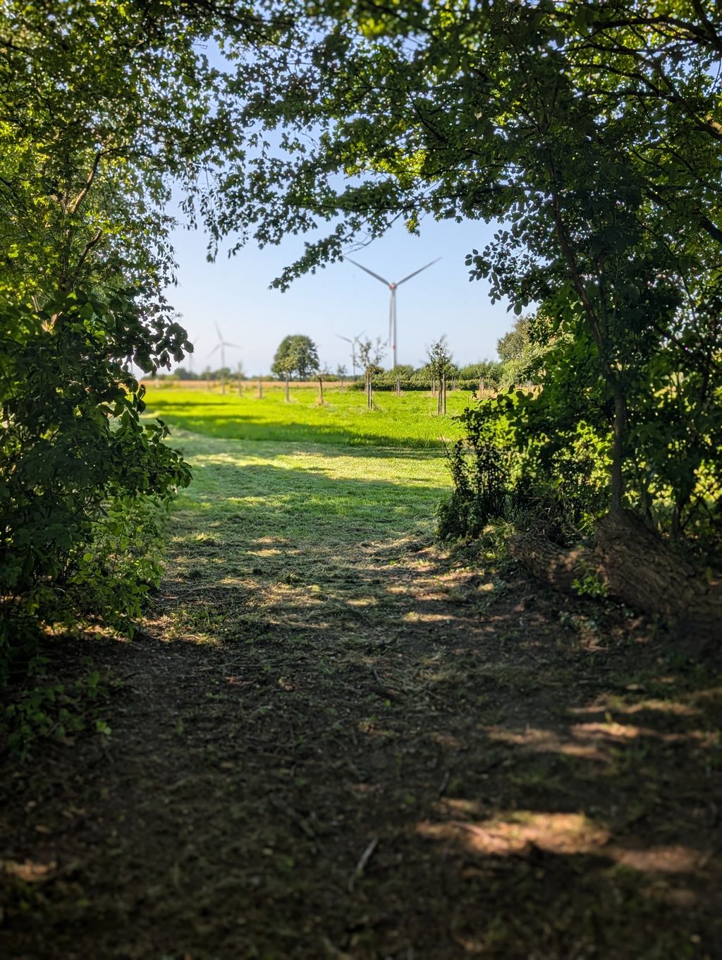 Área de acampada en un biotopo natural junto al estanque en Frisia del Norte