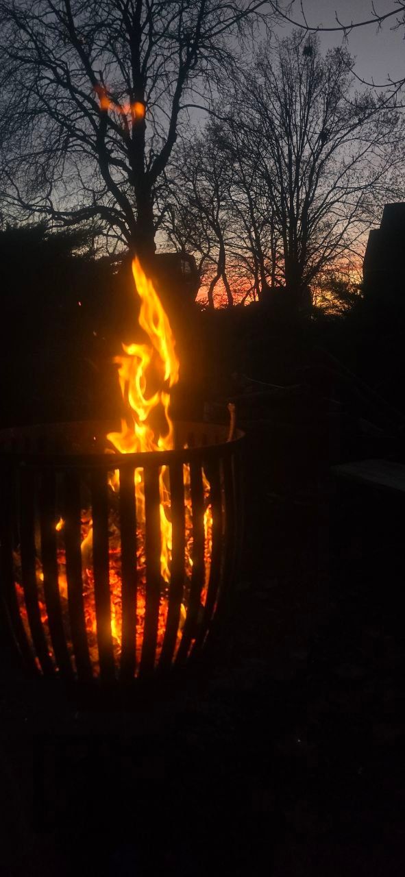 Piazzola del giardino delle erbe selvatiche