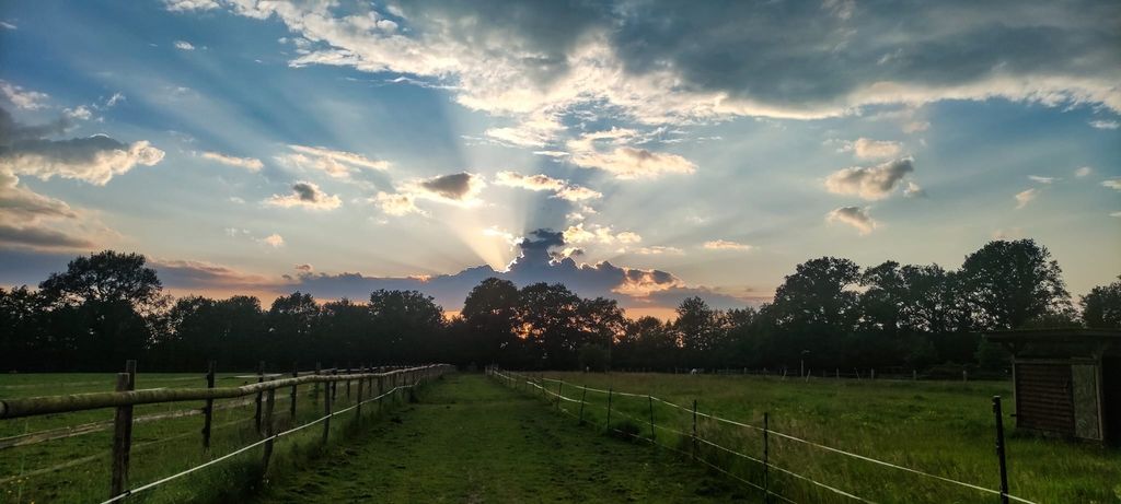 Natur-Hof bei Holm: Land-Camping mit Tieren
