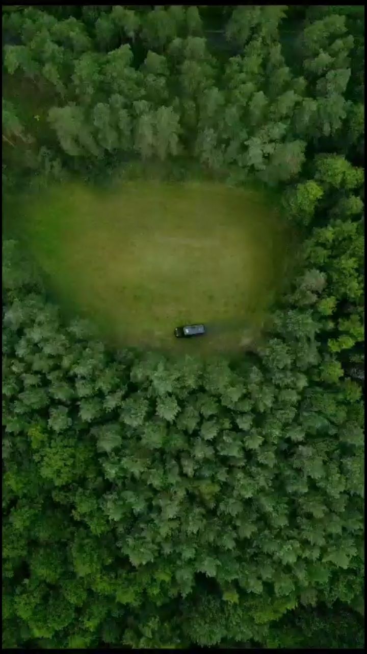 Green meadow in the forest or idyllic yard parking lot
