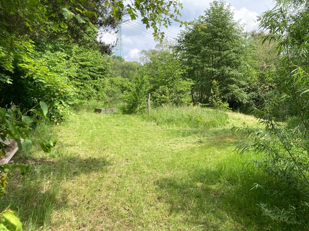 Naturerlebnis mitten in Hamburg