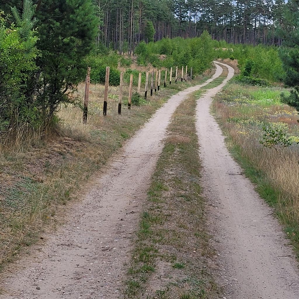 Die Natur in Polen (Pommern) genießen 