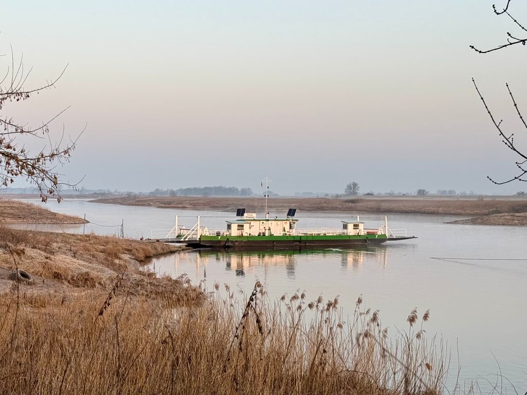 Directly on the Elbe, on the edge of the Düben Heath