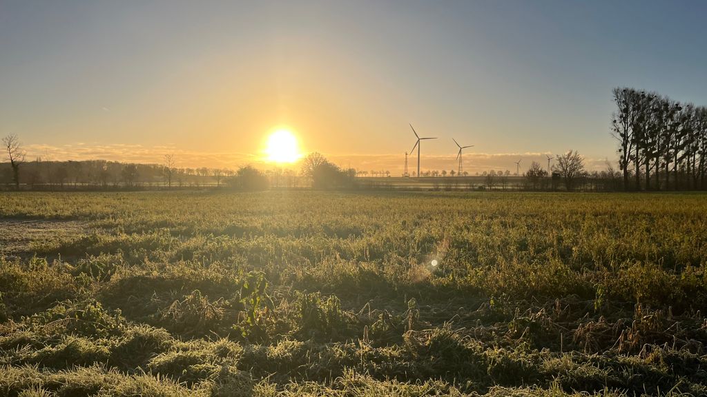 Sunrise in the Field
