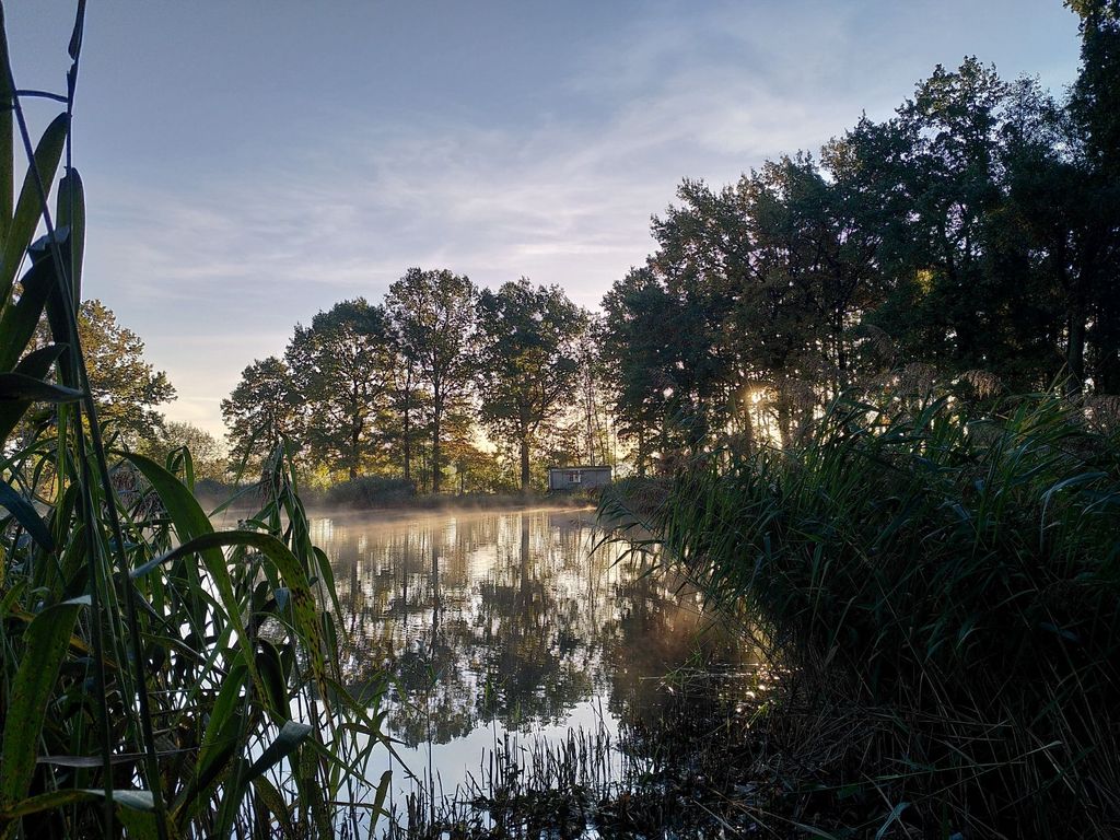 Teich am Fuß der Köhnigshainer Berge