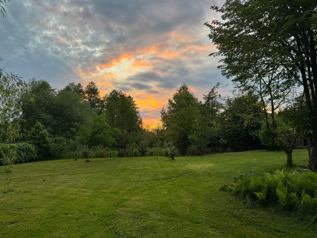 Idillio di campagna nella brughiera di Lüneburg