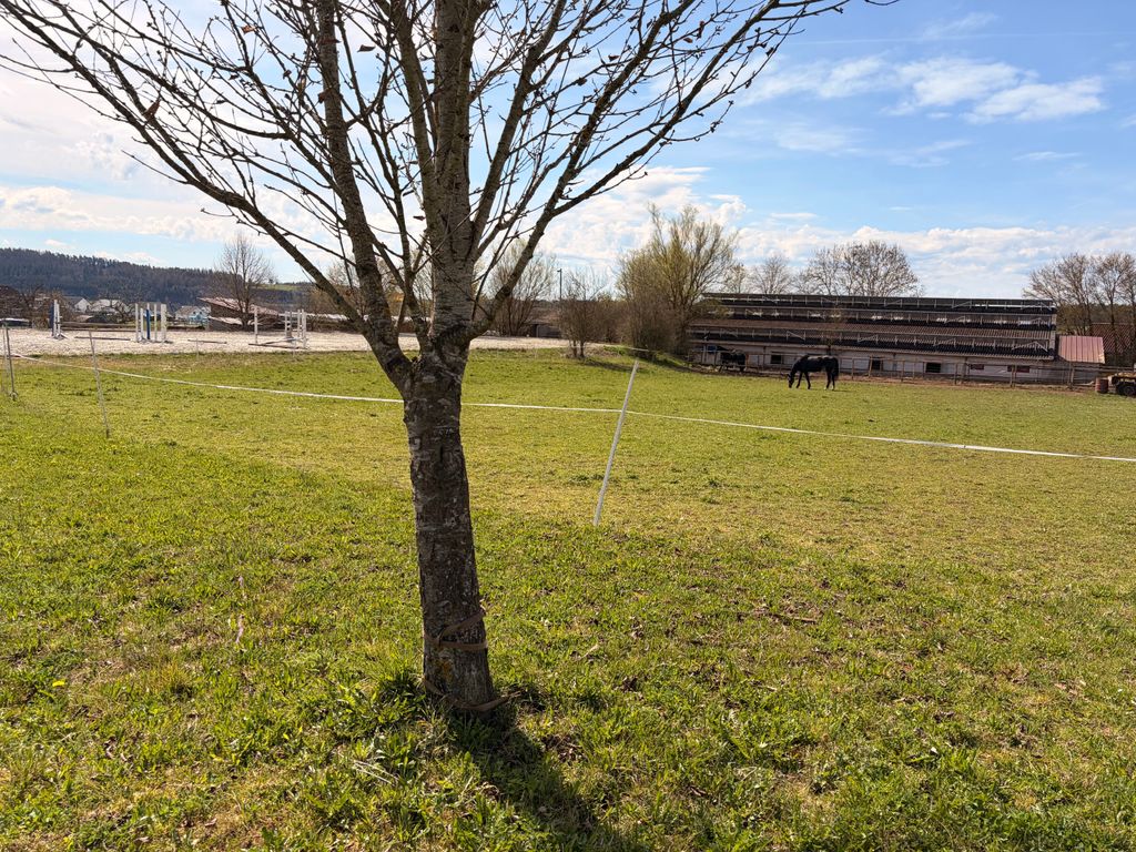 Ruhiger Stellplatz auf Reiterhof