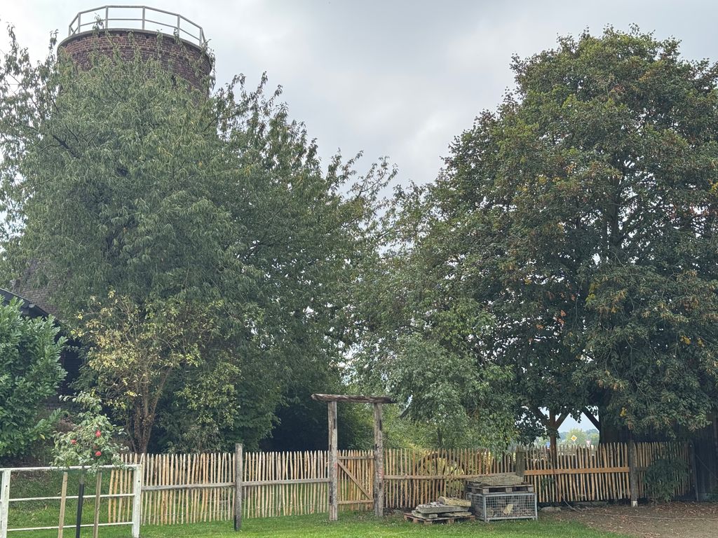 At the mill tower by the goats (single pitch, sauna)
