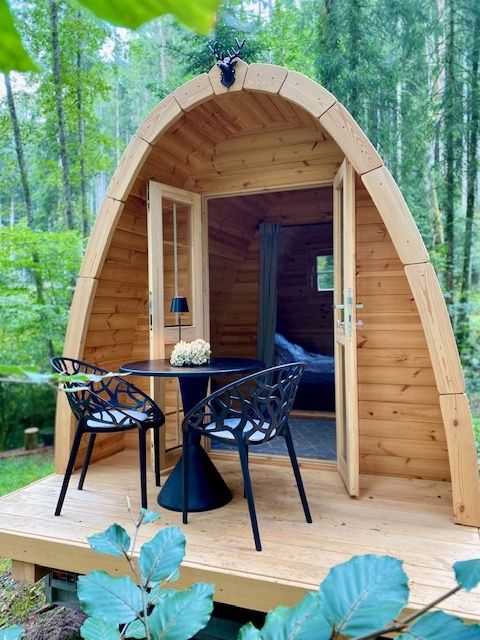 Black Forest Idyll: Self-Sufficient Forest Cabin in a Clearing