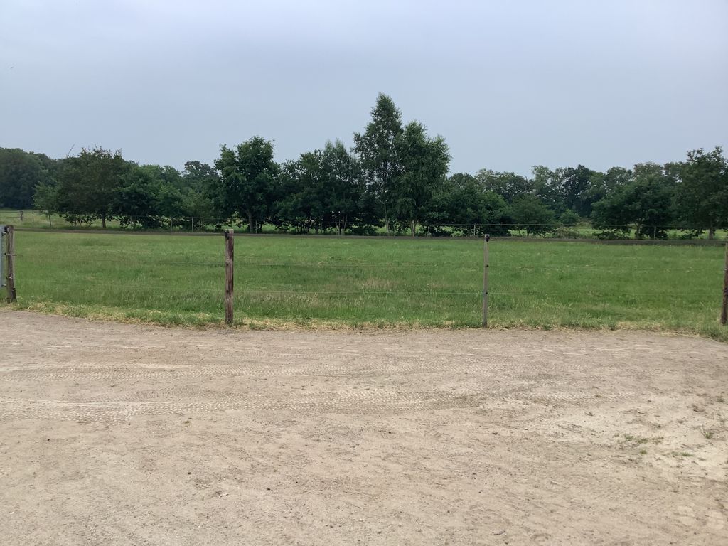Mer du Nord Situation isolée au milieu des pâturages pour chevaux