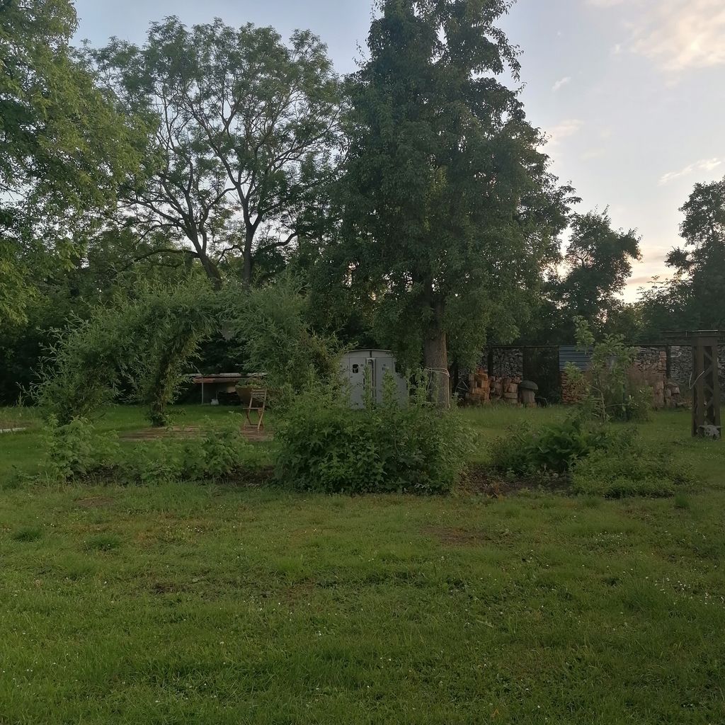 Zwischen Walnussbaum und Himbeerbeet an der Müritz
