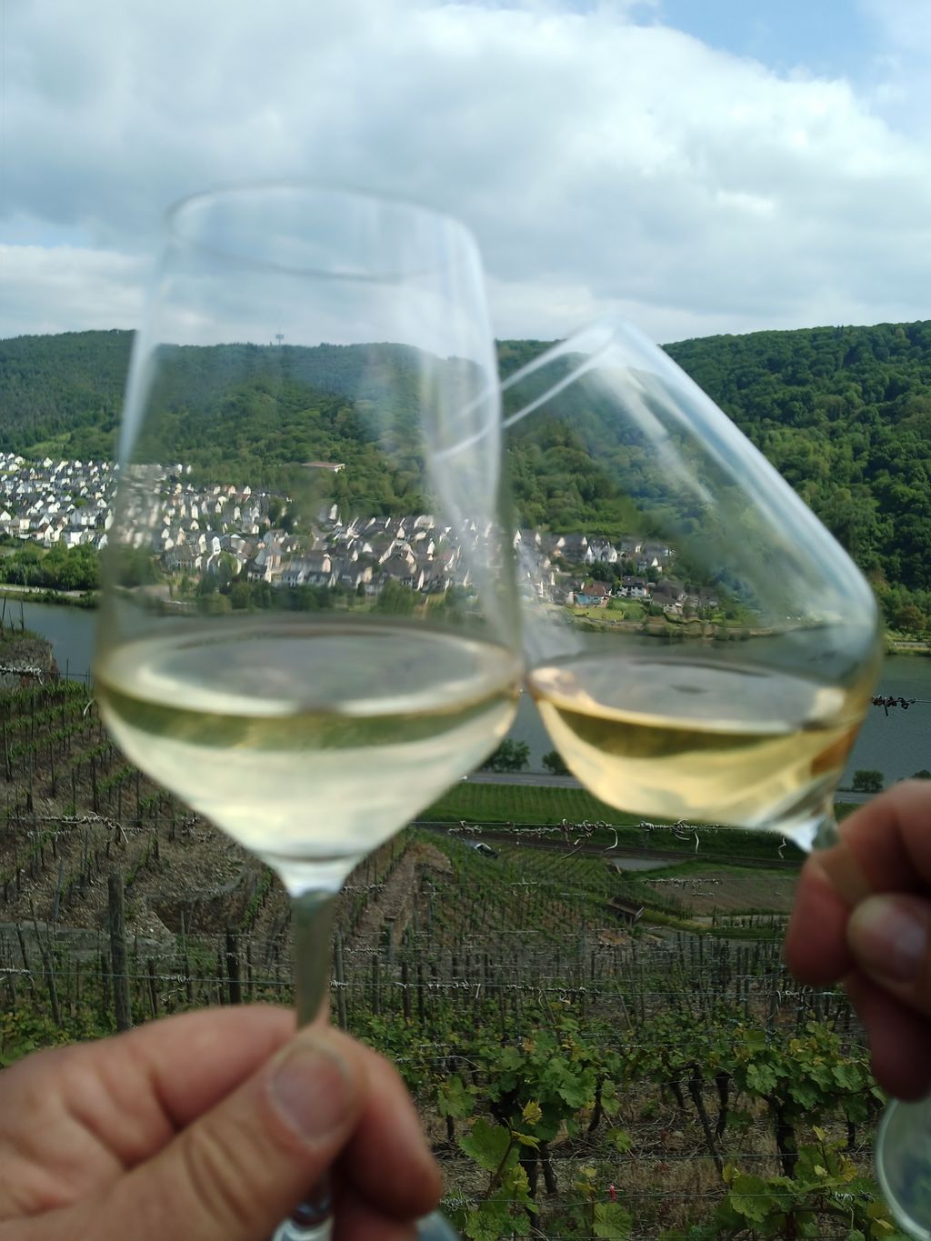 Privatcamping am am Westwallwanderweg 