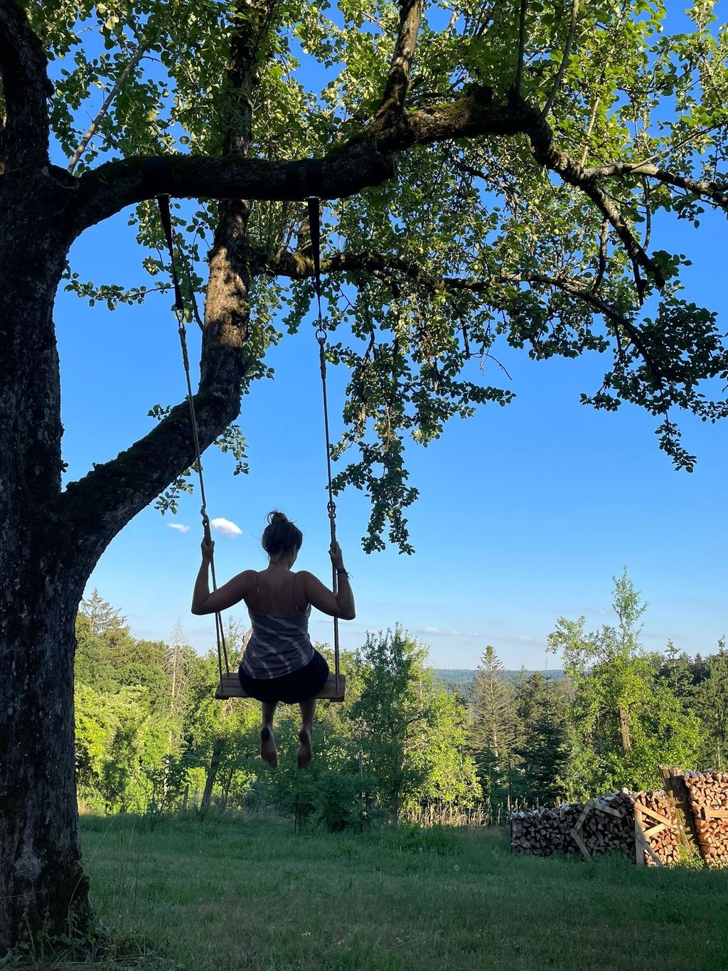 "Into the wild" dans la forêt souabe