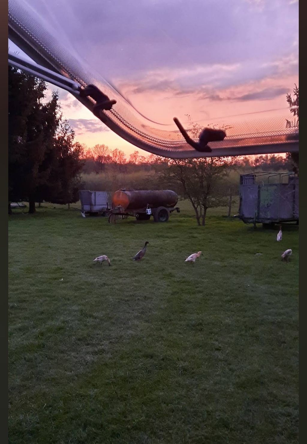 Ruhige Stellplätze auf unserem schönen Bauernhof!