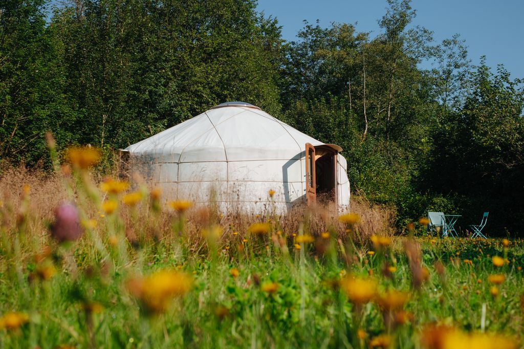 Yurt in nature at the natural pool in the Hasslachtal valley
