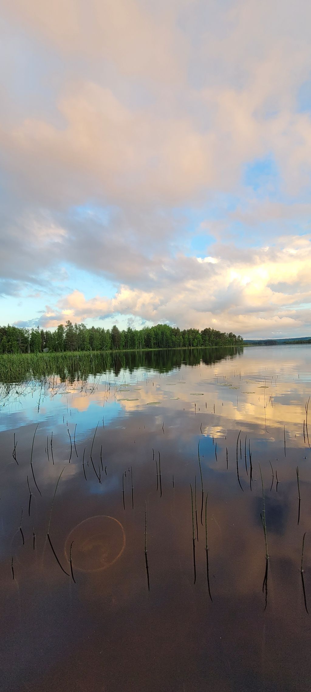 Natur Stellplätze in schwedisch Lappland am See