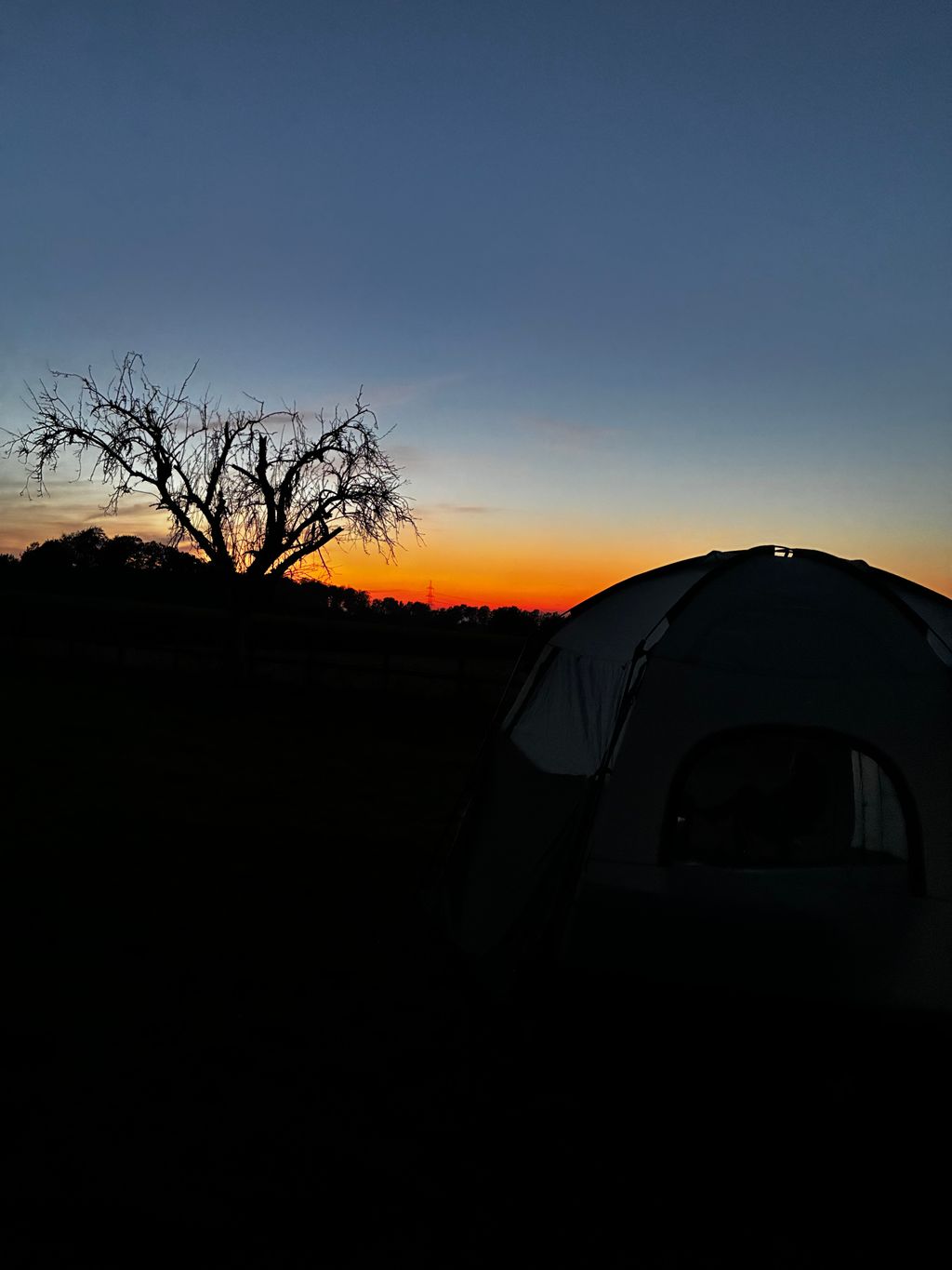 An idyllic campsite surrounded by nature