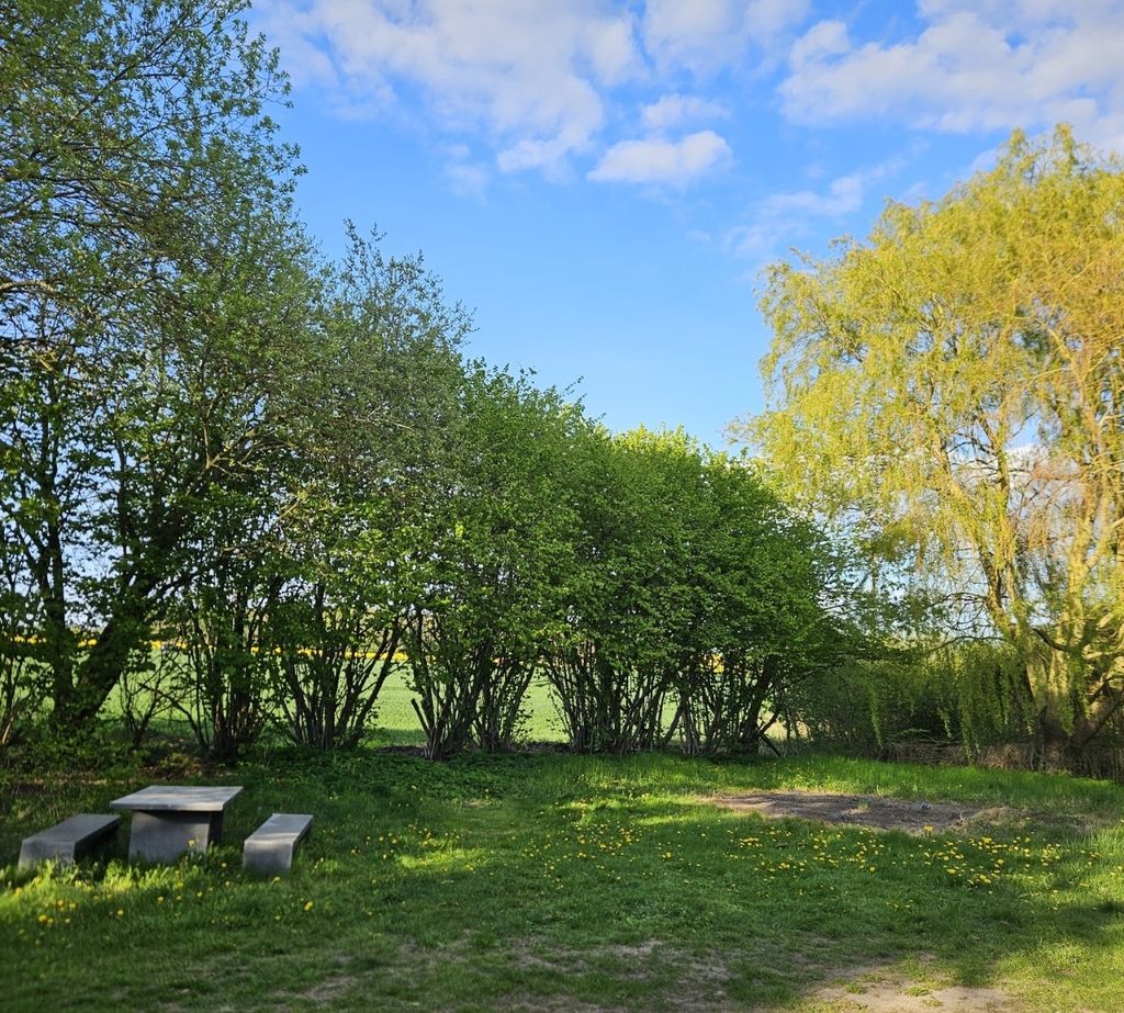 Entspannter Stellplatz nahe der Ostsee – im Grünen