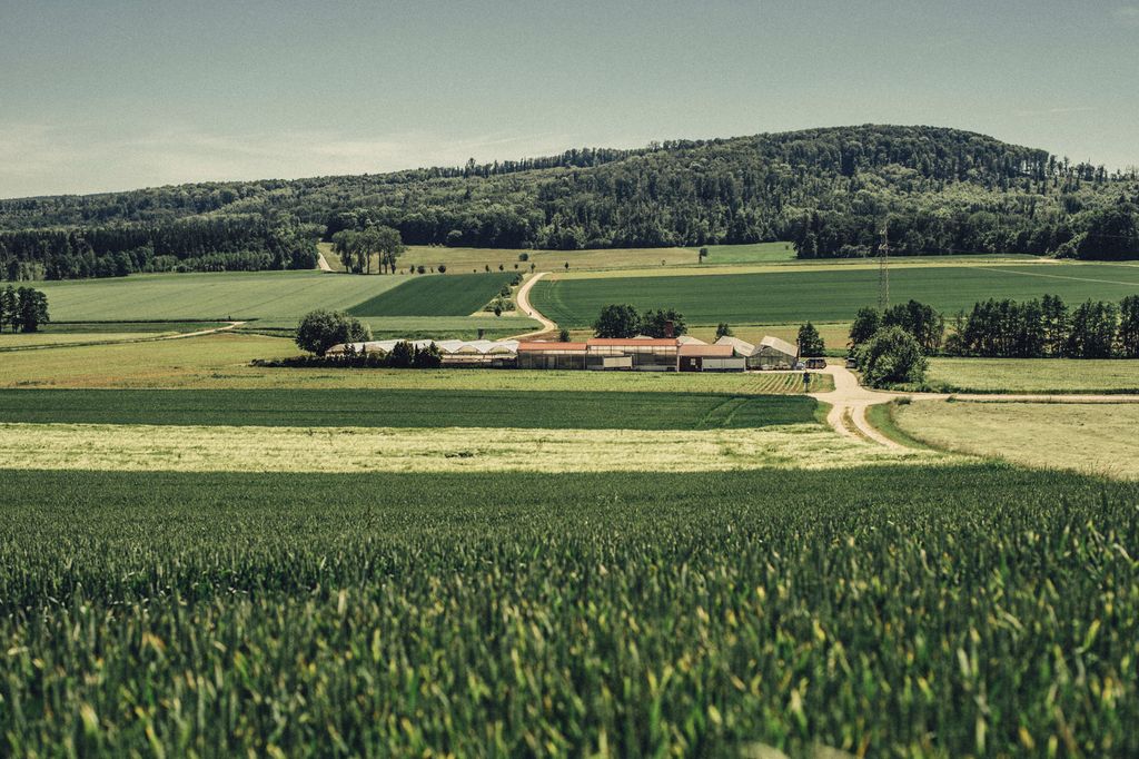 Prato del vivaio con vista idilliaca