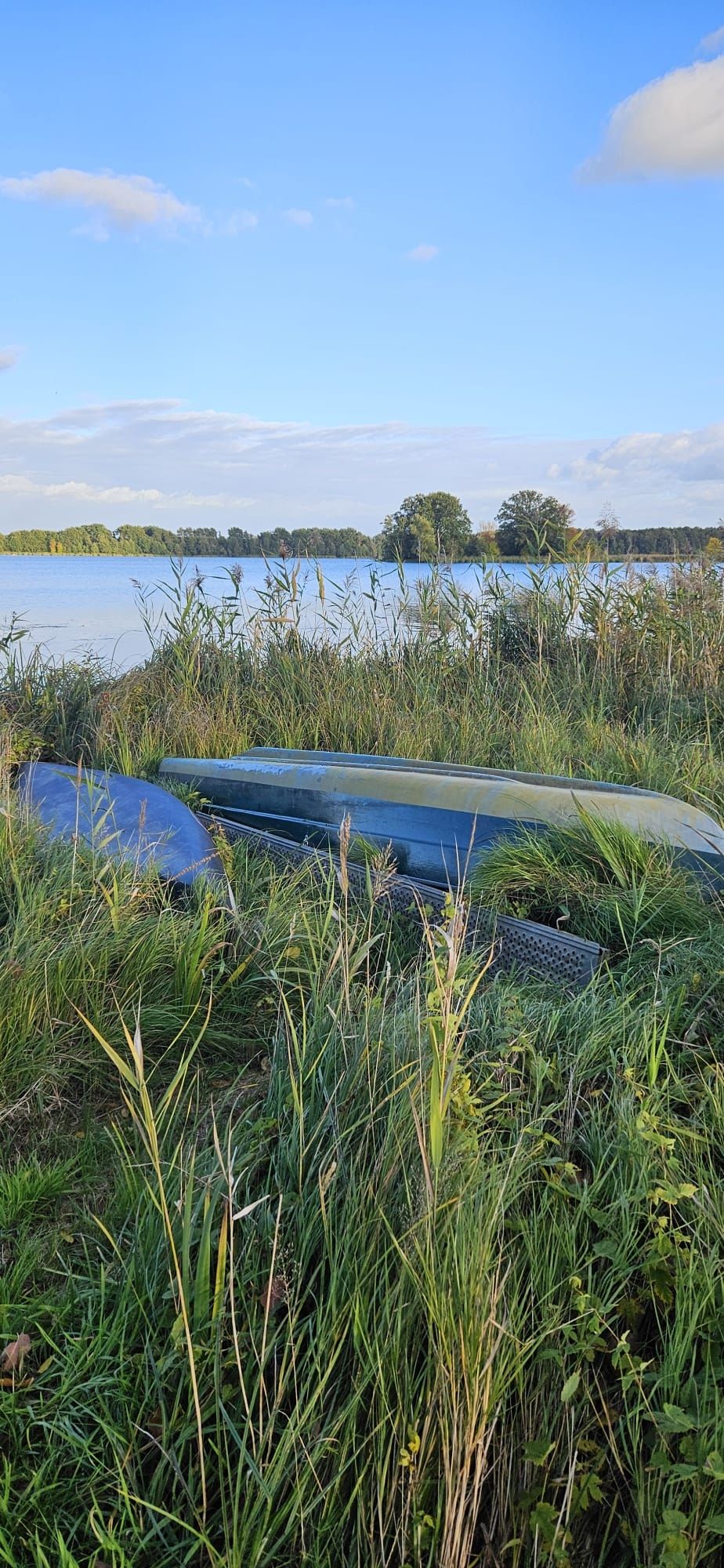 A secluded spot by the lake: nature camping in the Unterspreewald