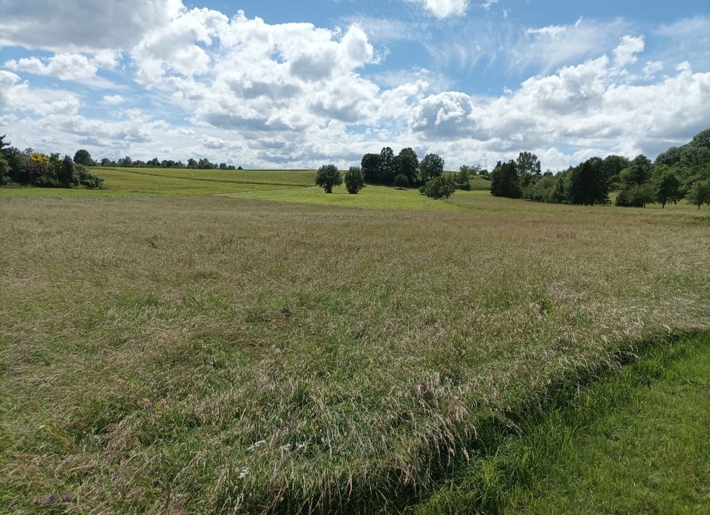 Camping Idylle in Empfingen mit Albtrauf-Blick