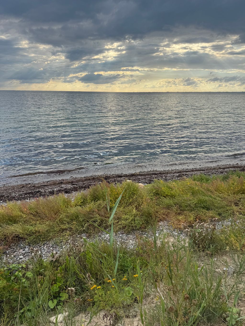 Camping am Meer – Insel Ærø erleben