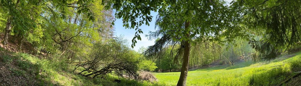 Nature Camping with a Fire Pit in the Lahn Valley
