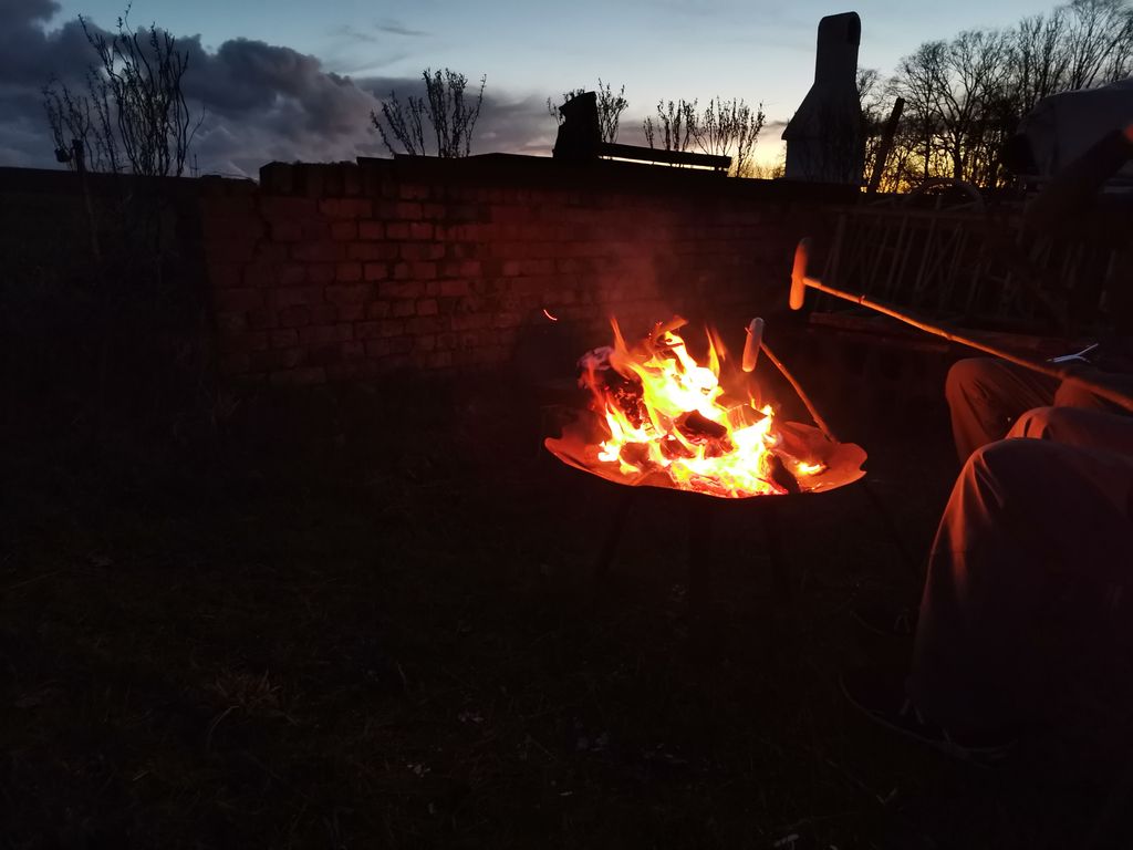 Tranquilidad absoluta: tiempo libre en la granja
