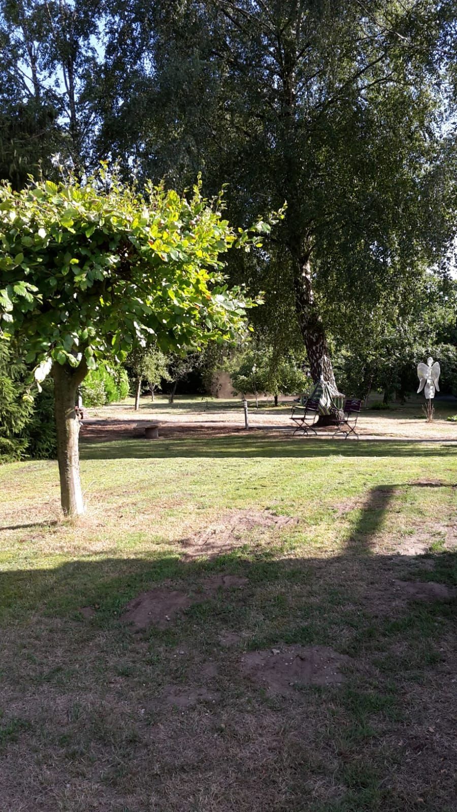 Alone location in the Ems floodplains