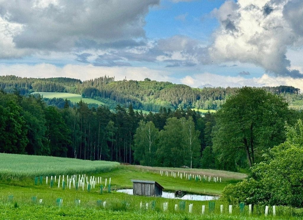 In the countryside in the Upper Palatinate
