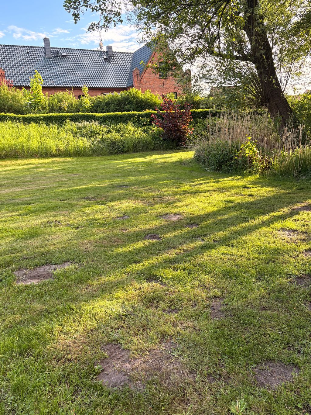 Giardino parrocchiale storico: una pausa nella Prignitz